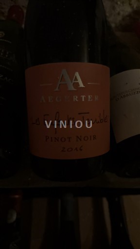 Бургундія Не вказано Jean-Luc & Paul Aegerter Les Enfants Terribles 2016