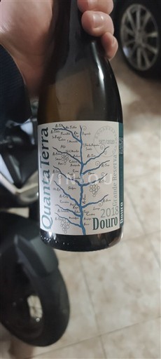 Дору Quanta Terra 2018