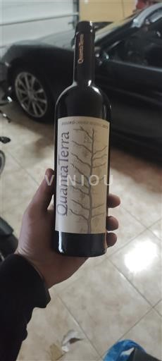 Дору Quanta Terra 2017