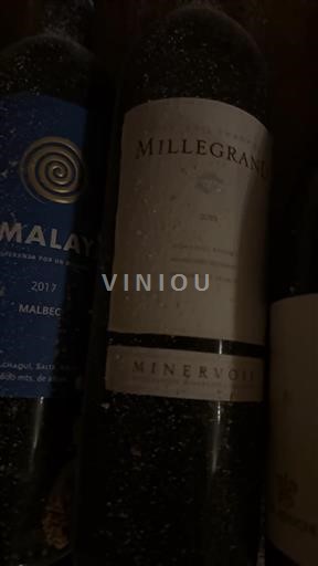 Лангедок Мінервуа Millegrand 2016
