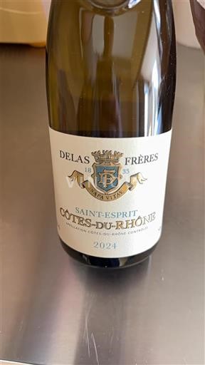 Rhônetal Côtes du Rhône Delas Frères Saint-Esprit 2024