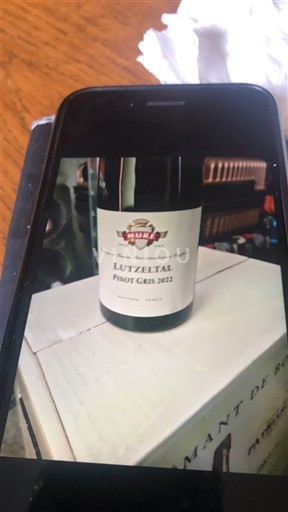 Ельзас Muré Lutzelthal 2022