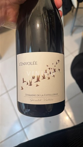 Thung lũng sông Loire Saint-Nicolas-De-Bourgueil Gaec Violeau L’envolée 2022