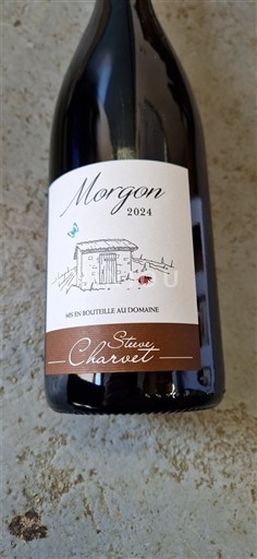 Víno Rouge sec Steve Charvet 2024 Francie Beaujolais Morgon AOC