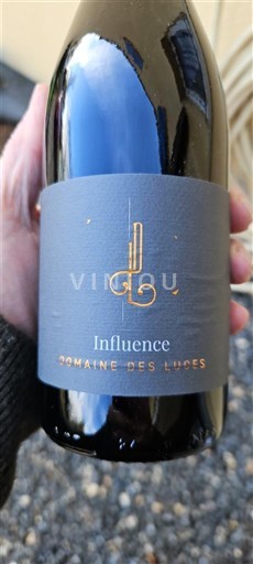 Луарська долина Мюскаде Севр і Мэн Domaine S Liges Influence Без вінтажу