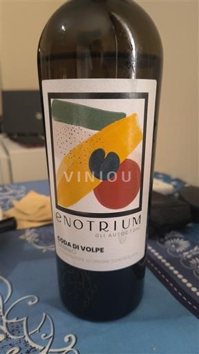 Campania Sannio Enotrium Coda di Volpe 2024