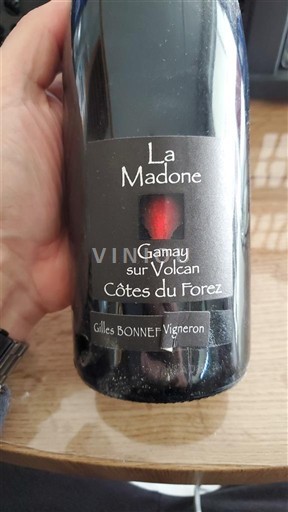 Valea Loarei Côtes-du-forez La Madone Gamay sur Volcan 2022