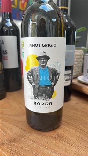 Венето Не вказано Borga Pinot Grigio 2023