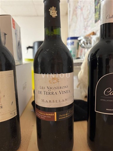 Linguadoca e Rossiglione Paese d'Oc Les Vignerons de Terra Vinea Marselan Senza annata