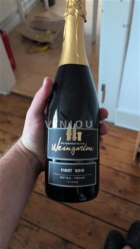 Баден Weingut Weingarten 2021