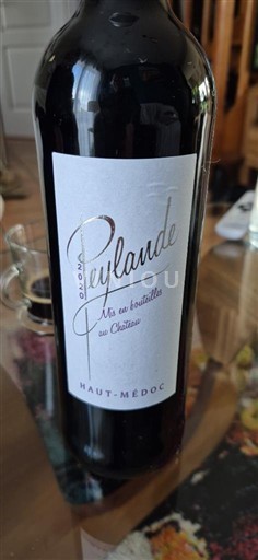 Bordeaux Haut-Médoc Château Peylarde Không niên vụ