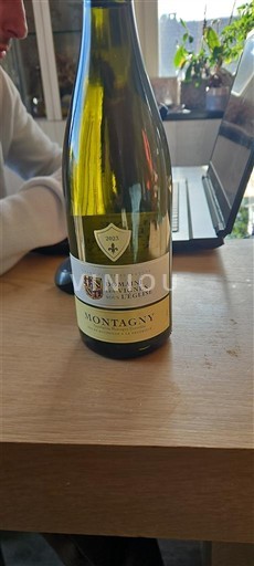 Бургундія Монтаньї Domaine Berthenet & Fils 2022