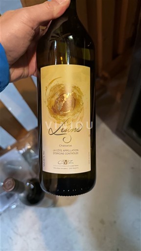 Воґд Ла Кот Domaine Christophe Métroz Luins 2019