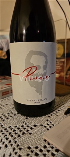 Сицилія Терре Січіліане Iuppa Pirin 2021