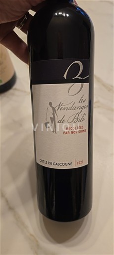 Sydväst Côtes de Gascogne Les Vendanges de Bilé 2023