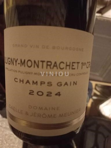 Бургундія Не вказано Premier Cru Domaine Gaëlle & Jérôme Meunier Champs Gain 2024