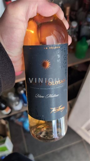 Південний Захід Комте Толозан Tourlansay Без вінтажу