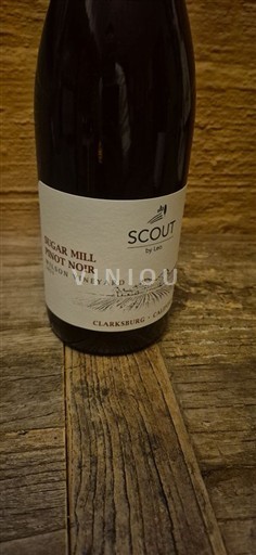 Kalifornialaiset AVA:t Clarksburg Scout by Lieu Sugar Mill Pinot Noir 2023