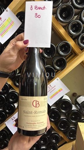 Burgund Saint-Romain Domaine Christophe Buisson 2020