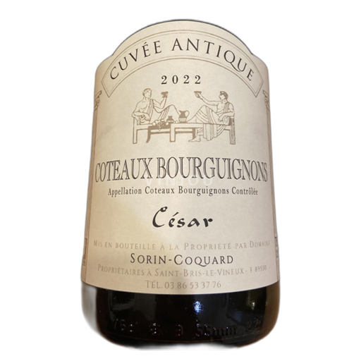 Burgundi Burgundin rinteet Sorin-Coquard Antique 2022