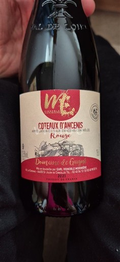 Valle del Loira Coteaux de Ancenis Domaine Gaigné 2021