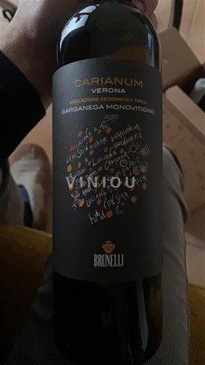 Венето Не вказано Brunelli Carianum 2024