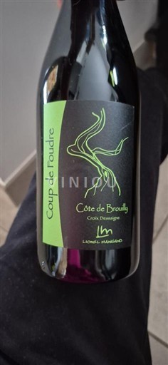 Божоле Кот-де-Бrouilly Lionel Mambard Coup de foudre Без вінтажу