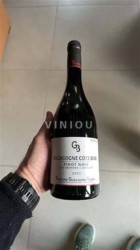 Бургундія Бургундія Кот-д'Ор Domaine Guillaume Baduel Les Grandes Carelles 2022