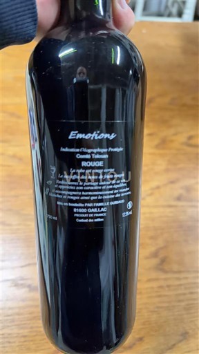 Sud-Ovest Gaillac Domaine Rotier Emotions Senza annata