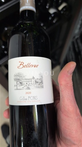 Sud-Ovest Cahors Domaine Lou Gaillot Bellovue 2020