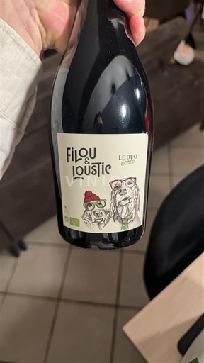 Лангедок та Руссійон Паї д'Ок Filou & Loustic Le Duo Écolo 2024