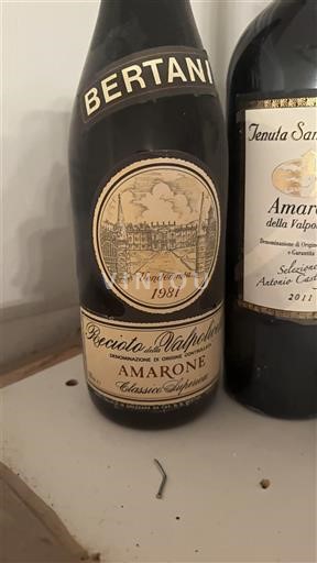 Венето Не вказано Bertani Classico Superiore 1981