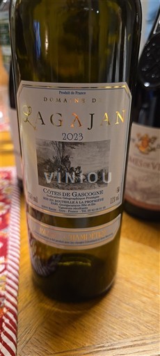 Sydväst Côtes de Gascogne Domaine Ragajan 2023