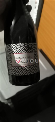 Sydväst Côtes de Gascogne Domaine S 3 Vallées 2021