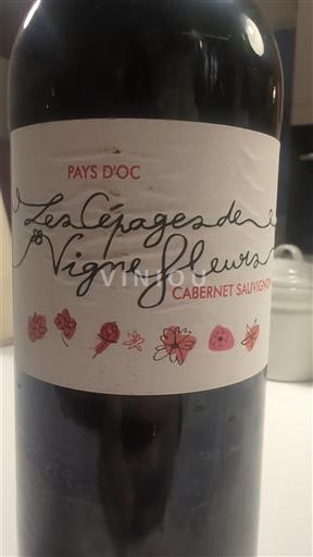 Linguadoca e Rossiglione Paese d'Oc Les Cépages de la Vigne Fleurs Senza annata