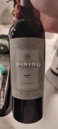 Мендоса Уко долина Salentein Numina 2023