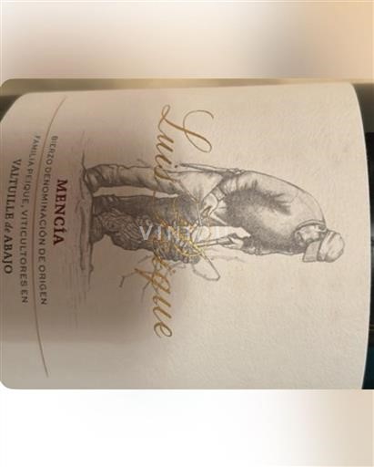 Кастилія і Леон Б'єрсо Luis Alegre 2021