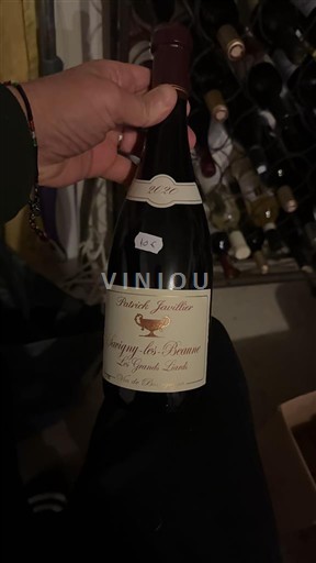 Бургундія Савіньї-ле-Бон Patrick Javillier Les Grands Liards Без вінтажу