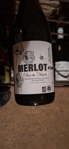 Регіони Сходу Франш-Конте Vincent Cheviet Merlot 2023