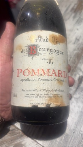 Borgoña Pommard Pierre Vignon 2004