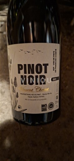 Регіони Сходу Франш-Конте Vincent Cheviet Pinot noir 2023