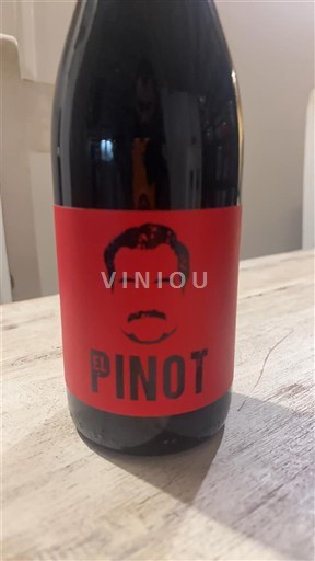 Лангедок та Руссійон Паї д'Ок El Pinot 2023