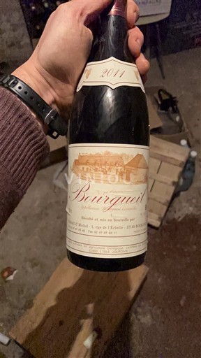 Vini Rouge sec Domaine Étienne Michel 2011 Francia Valle della Loira Bourgueil AOC