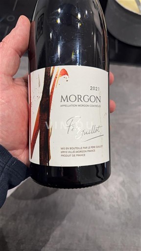 Víno Rouge sec Pierre Guilhot 2021 Francie Beaujolais Morgon AOC