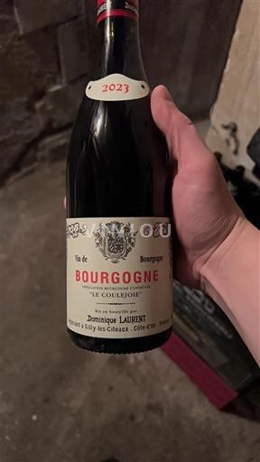 Bourgogne Dominique Laurent Le Courejou 2023