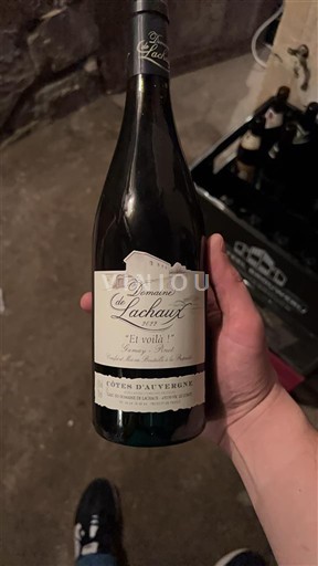 Луарська долина Кот-д'Овернь Domaine Lachaud El Violin 2022