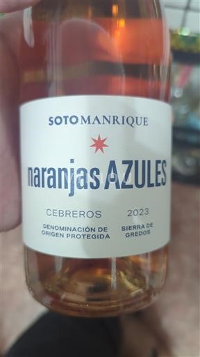 Кастилія і Леон Не вказано Soto Manrique Naranjas Azules 2023