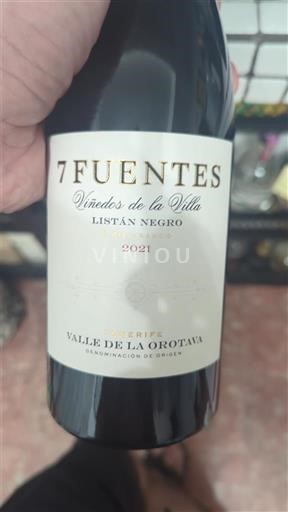 Канари Валле-де-ла-Оротава 7 Fuentes Viñedos de la Villa 2021