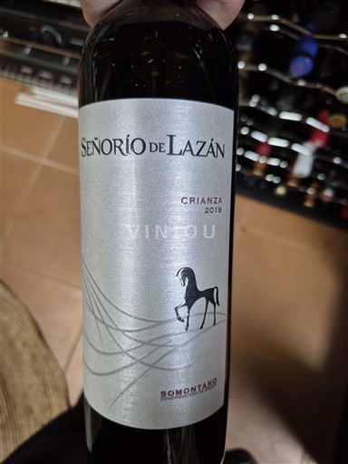 Арагон Сомантоно Señorío de Lazán Crianza 2019
