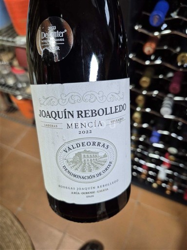 Галісія Вальдеоррас Joaquín Rebolledo Mencía 2022